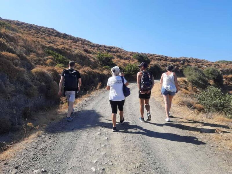 Ikaria: Hiking Tour on the Greek Blue Zone Island - Exploring Ikaria’s Natural Beauty Through Hiking