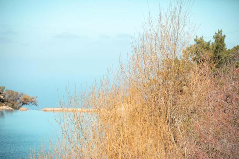 Ikaria Longevity: Forest Pilates, Monastery & Family Winery - Final Thoughts
