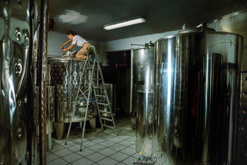 ikaria-winery-tour-and-tasting-with-winemaker