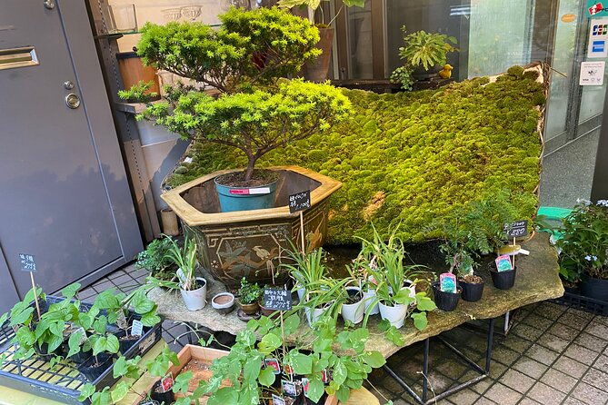 ikebana-experience-tour-in-kyoto