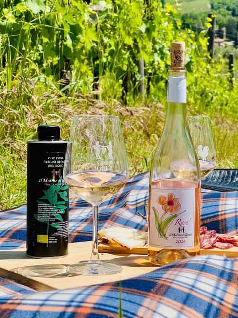 Il Molino di Grace: Vineyard Tour, Wine Tasting, and Picnic - Why This Tour Works Well  