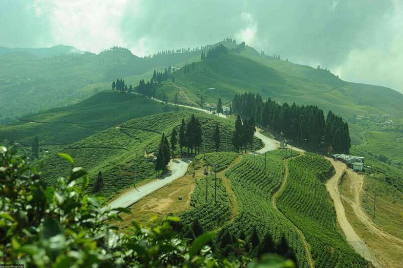 ilam-7-day-luxury-tea-garden-stay-in-illam