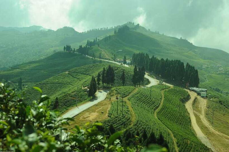 ilam-7-day-luxury-tea-garden-stay-in-illam