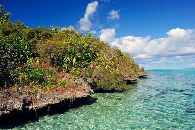 Ile aux Aigrettes - Tea Route - Gris Gris Private Guided Tour (Min. 2 persons) - Key Points