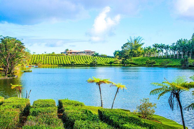 Ile aux Aigrettes - Tea Route - Gris Gris Private Guided Tour (Min. 2 persons) - The Sum Up