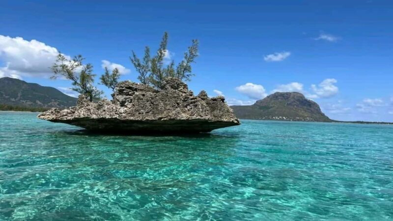 ile aux Benitier: Tour with dolphin watch & lunch - Key Points