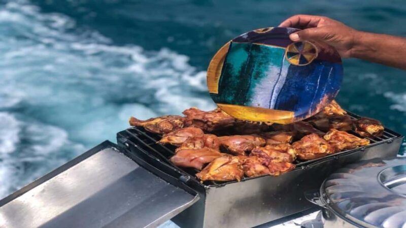 ile aux Benitier: Tour with dolphin watch & lunch - Final Thoughts