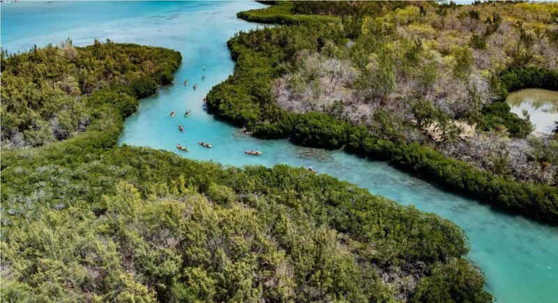 Ile d Ambre Kayaking - The Sum Up