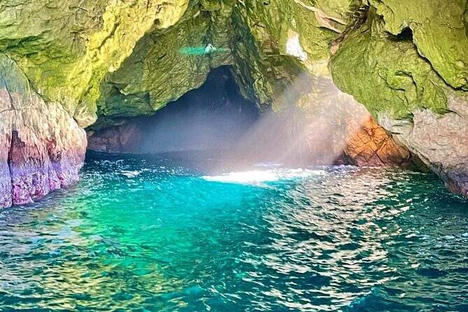 Ile Des Phoques and Maria Island Cruise and Walk Day Tour with Lunch - The Itinerary in Detail