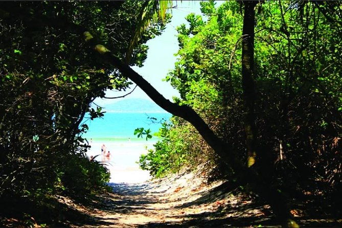 ilha-grande-from-abraao-lopes-mendes-beach-tour-trekking