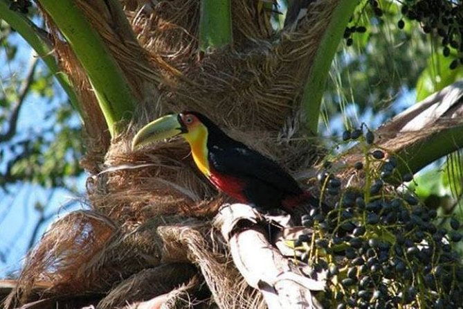 ilhabela-a-real-paradise-on-the-coast-of-sao-paulo-3-day-private-tour