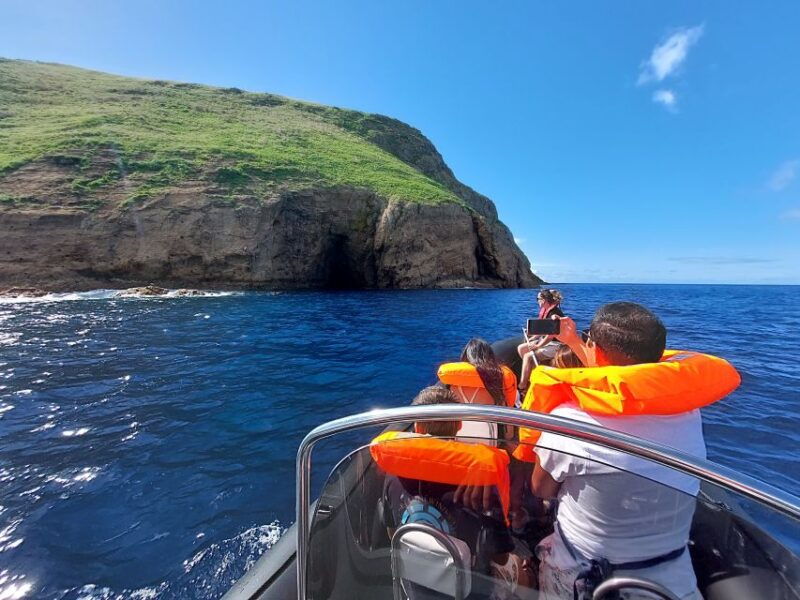 ilheu-das-cabras-boat-trip