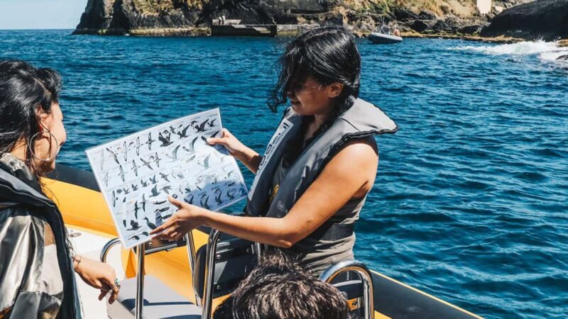 Ilhéu de Vila Franca: Guided Eco Boat Tour with Biologist - The Value of the Experience