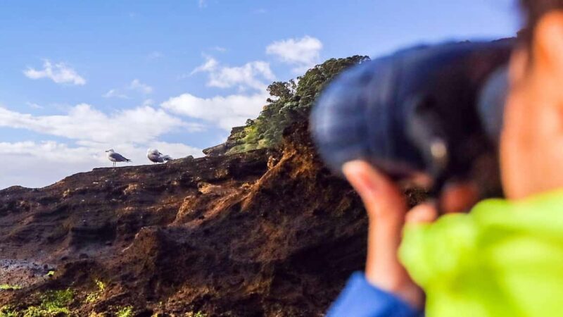 Ilhéu de Vila Franca: Inside Guided Natural Reserve Geo Tour - Final Thoughts: Is This Tour Worth It?