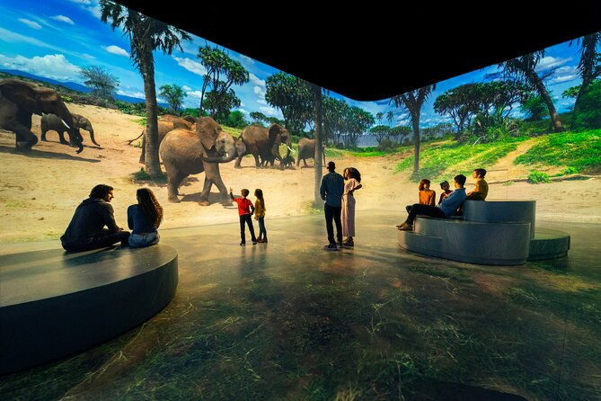 illuminarium-las-vegas-2