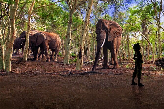 illuminarium-las-vegas-2