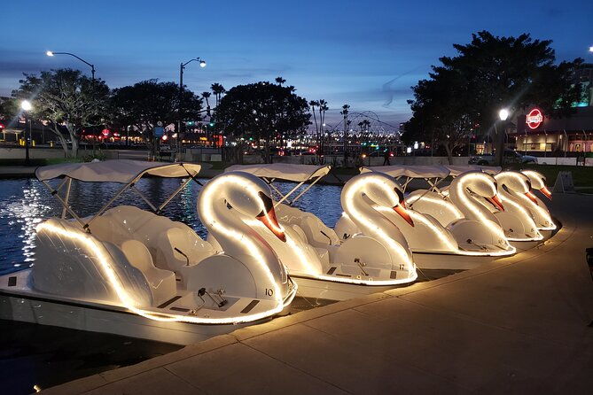 illuminated-swan-boat-night-ride-on-rainbow-lagoon