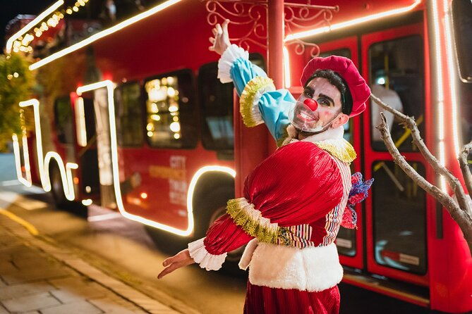 illumination-bus-tour-christmas-lights-show