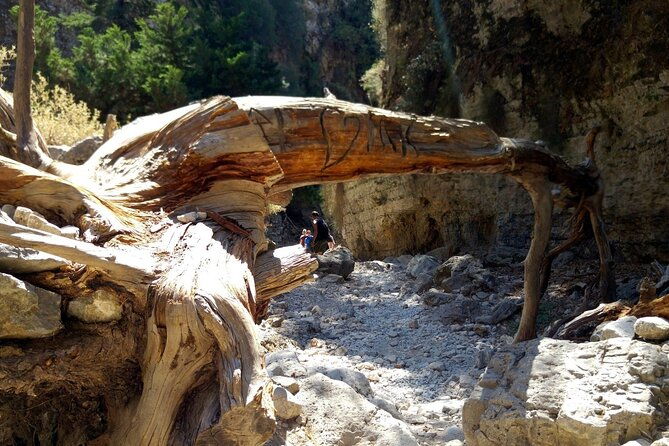 imbros-gorge-adventure-day-trip-from-chania