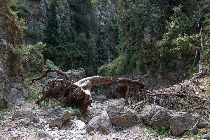 imbros-gorge-and-libyan-sea-day-tour-from-rethymno