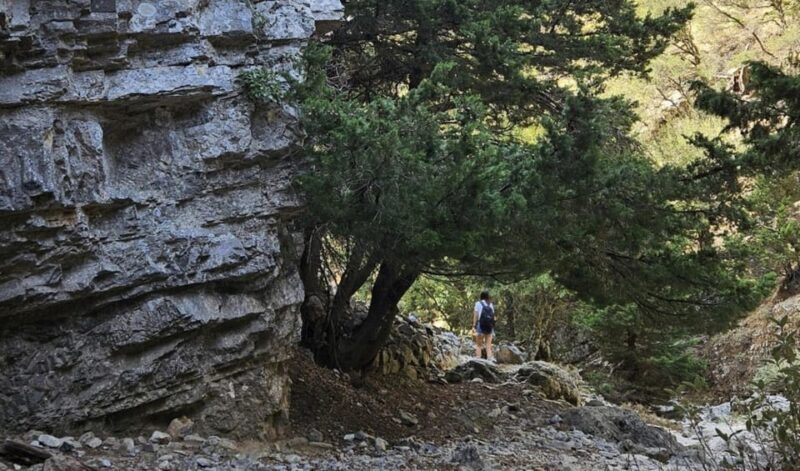Imbros Gorge: Walk the Trail, Live the Story Private Tour - Key Points