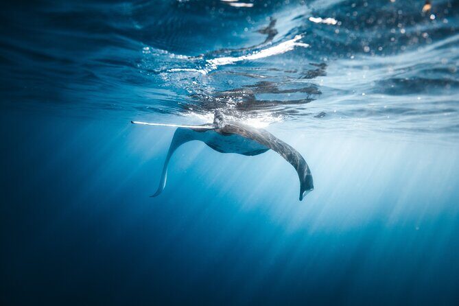 'Imiloa Express N Pali Snorkel Tour - The Experience of a Lifetime
