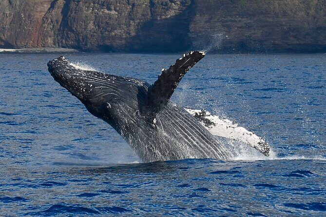 'Imiloa Express Na Pali Sunset Tour - FAQ
