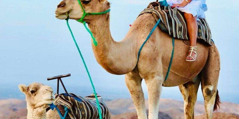 Imlil Adventure: 2-Hour Hike, Quad Biking & Camel Experience - Quad Biking: Speed Through the Dunes