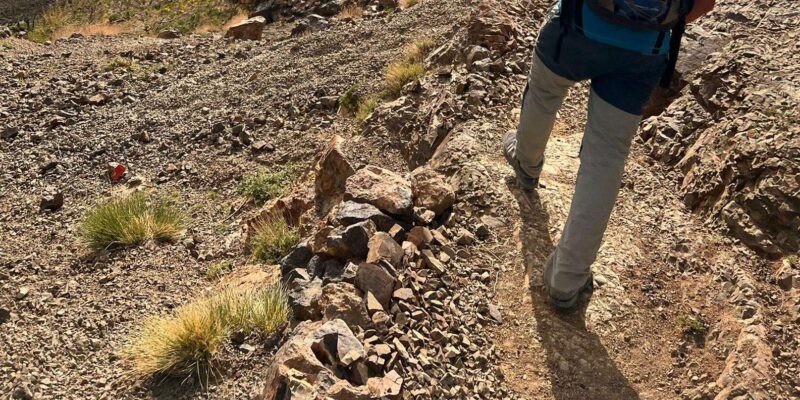 Imlil to Tizi n'Tamatert: Scenic Day Trip with Lunch - FAQ
