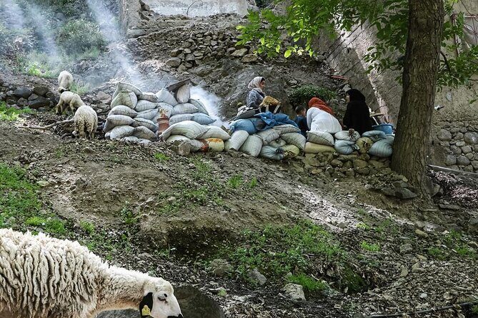 Imlil Waterfalls Day Tour from Marrakech  Nature & Local Culture - The Journey Begins: Marrakech to Tahnaout Valley