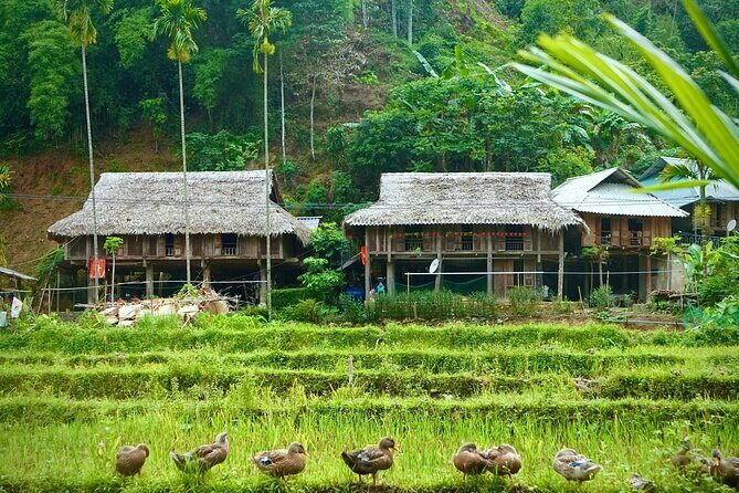 Immerse in Mai Chau: Explore the Colorful Northwest & Hidden Cave - The Sum Up