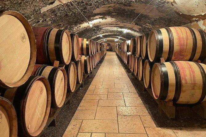 immersion-domaine-e-guigal-visit-wine-cellars-and-tasting