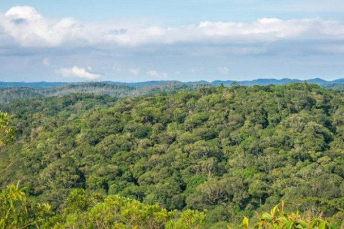 immersion-in-an-untouched-ecosystem-adventurous-full-day-hiking-tour