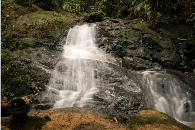 immersion-in-an-untouched-ecosystem-adventurous-full-day-hiking-tour