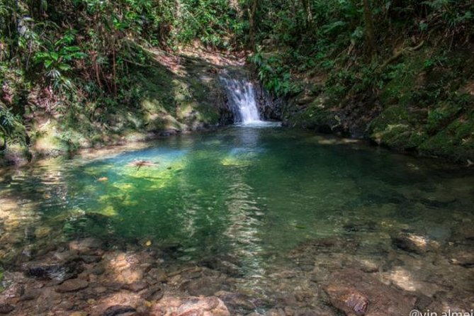 immersion-in-an-untouched-ecosystem-adventurous-full-day-hiking-tour