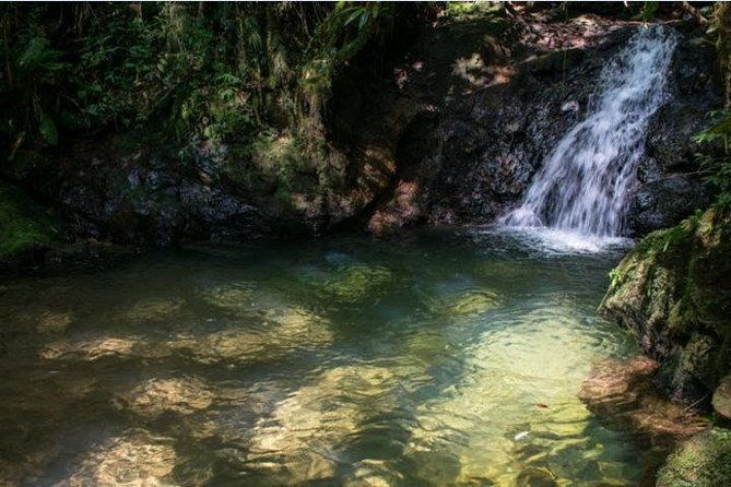 immersion-in-an-untouched-ecosystem-adventurous-full-day-hiking-tour