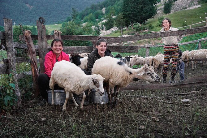 immersive-2-day-tour-homestay-with-shepherds-in-the-albanian-alps