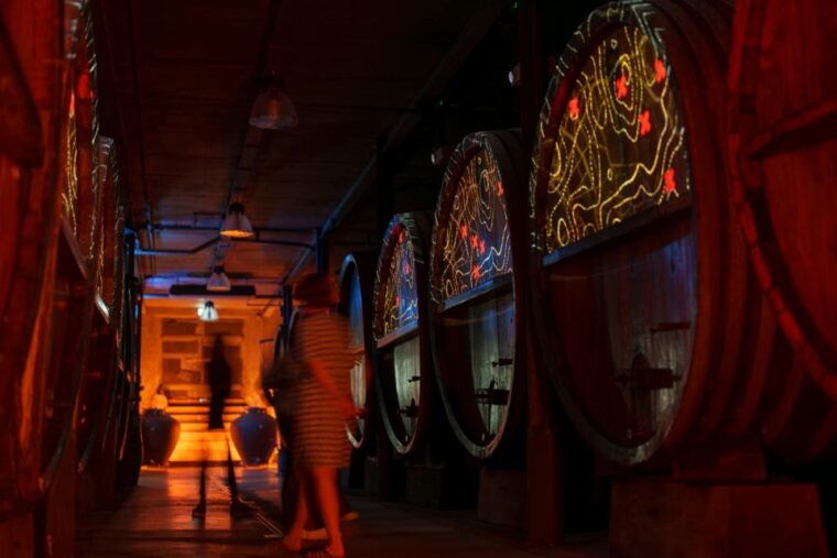 immersive-cellar-tour-tasting-and-board-meal