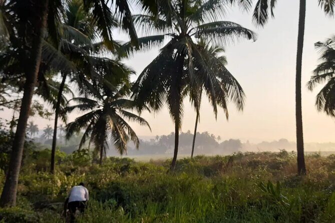 Immersive Coconut Experience by Mulgao Verde - Savoring Goa: The Farm-Fresh Meal