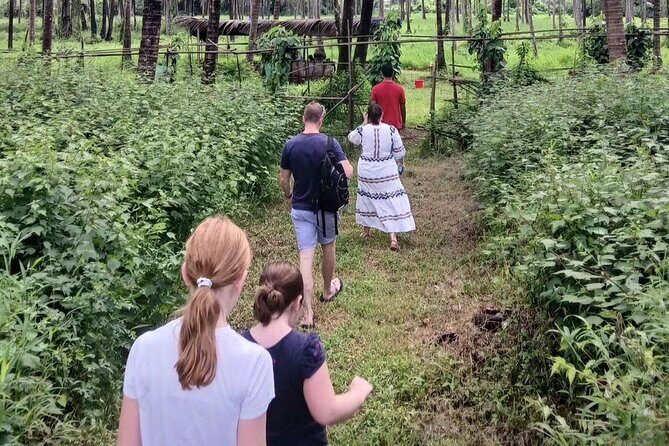 Immersive Coconut Experience by Mulgao Verde - Authentic Experiences Backed by Reviews