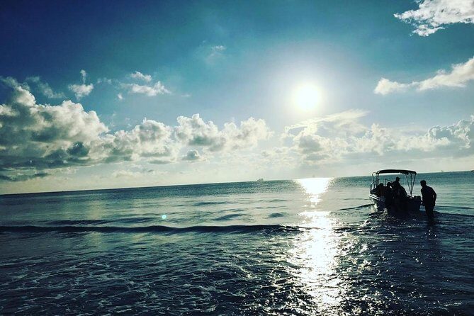 Immersive dolphin and whale watching mission on a secret boat Trincomalee - An In-Depth Look at the Tour Experience