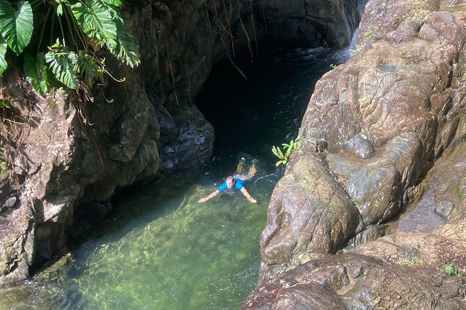 immersive-el-yunque-rainforest-adventure-with-transportation