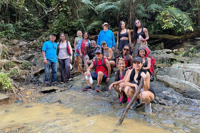 immersive-el-yunque-rainforest-adventure-with-transportation