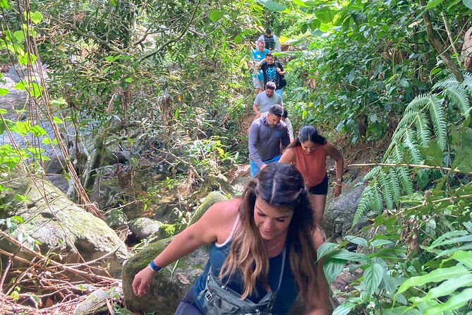 immersive-el-yunque-rainforest-adventure-with-transportation