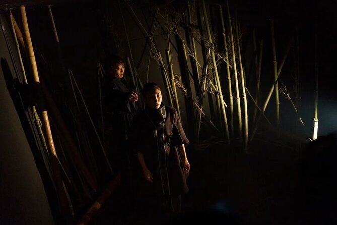 Immersive Experience Anemoia Tokyo Ticket - Authentic Insights from Visitors