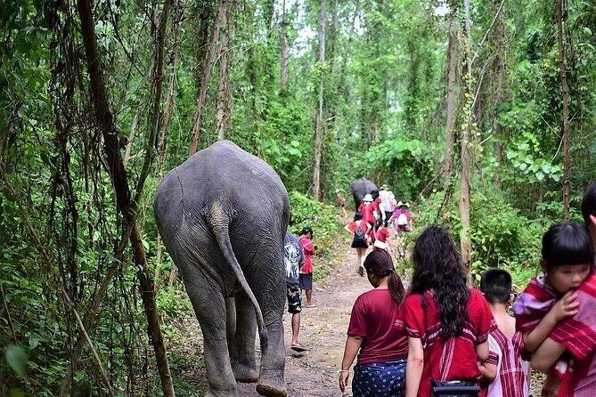 Immersive Kerchor Elephant Sanctuary Eco Park in Karen Tribe life - FAQs