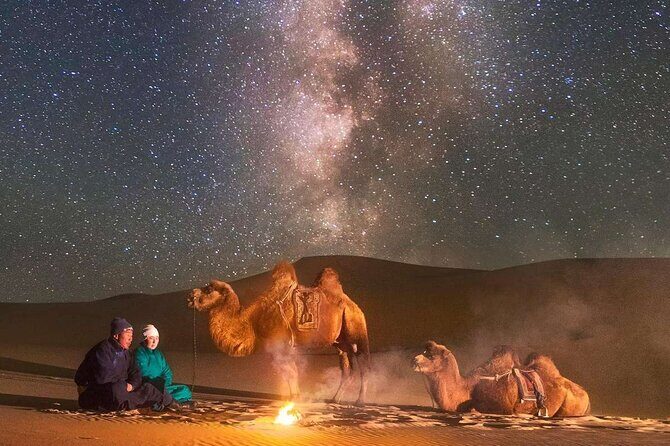 Immersive Mongolian Gobi experience, Camel, Cousine, Stargaze, 2D - An In-Depth Look at the Gobi Experience