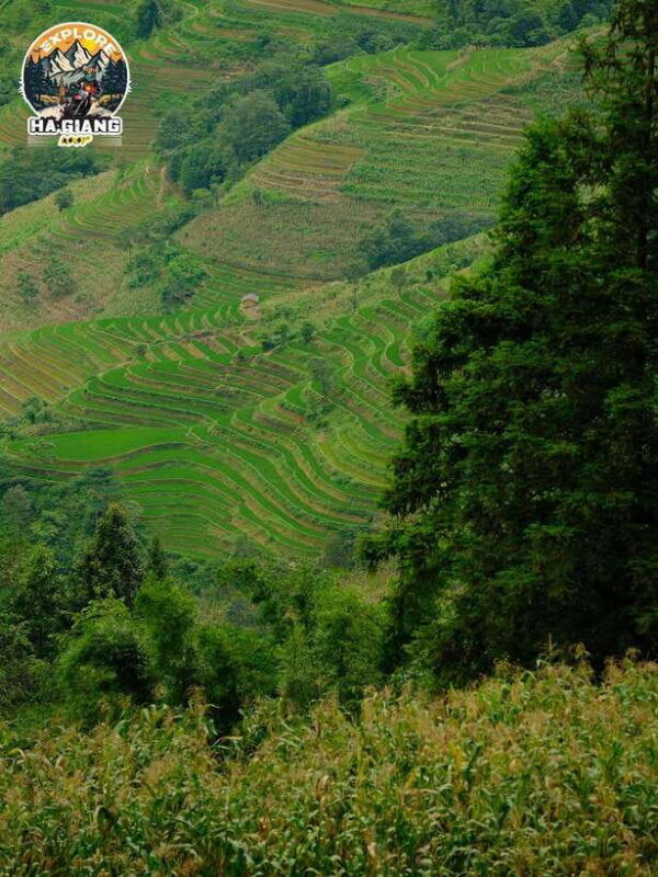 immersive-remote-north-vietnam-9-days-8-nights