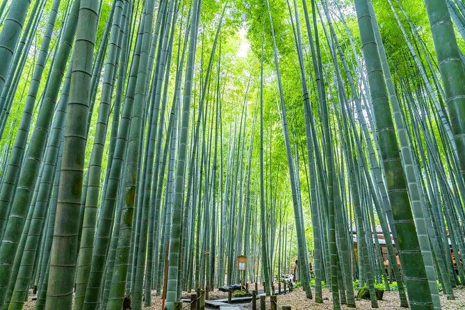 immersive-zazen-experience-kamakura-tour-from-tokyo-with-pickup