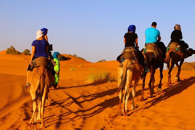 Imperial Cities and Sahara Private 8-Day Tour from Marrakech - Wrapping Up in Marrakech